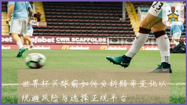 世界杯买球前如何分析赔率变化以规避风险与选择正规平台