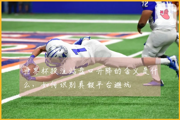 世界杯投注站盘口升降的含义是什么，如何识别真假平台避坑
