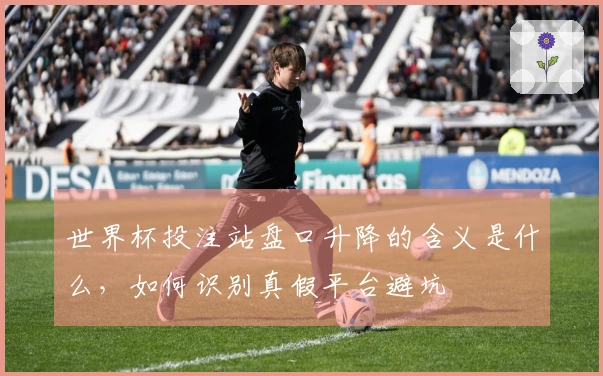 世界杯投注站盘口升降的含义是什么，如何识别真假平台避坑